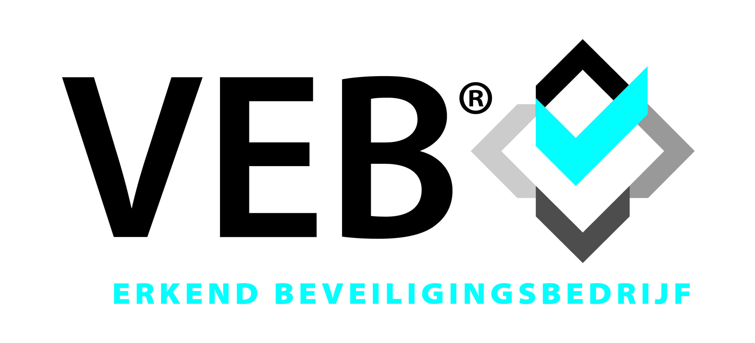 VEB Erkend Beveiligingsbedrijf